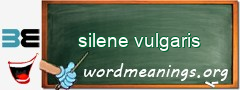 WordMeaning blackboard for silene vulgaris